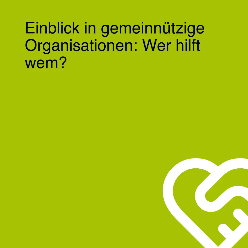 Einblick in gemeinnützige Organisationen: Wer hilft wem? Einblick in gemeinnützige Organisationen: Wer hilft wem?