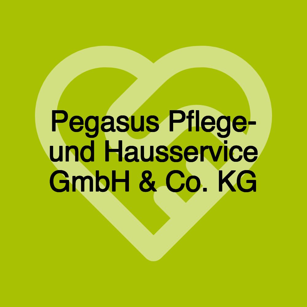 Pegasus Pflege- und Hausservice GmbH & Co. KG