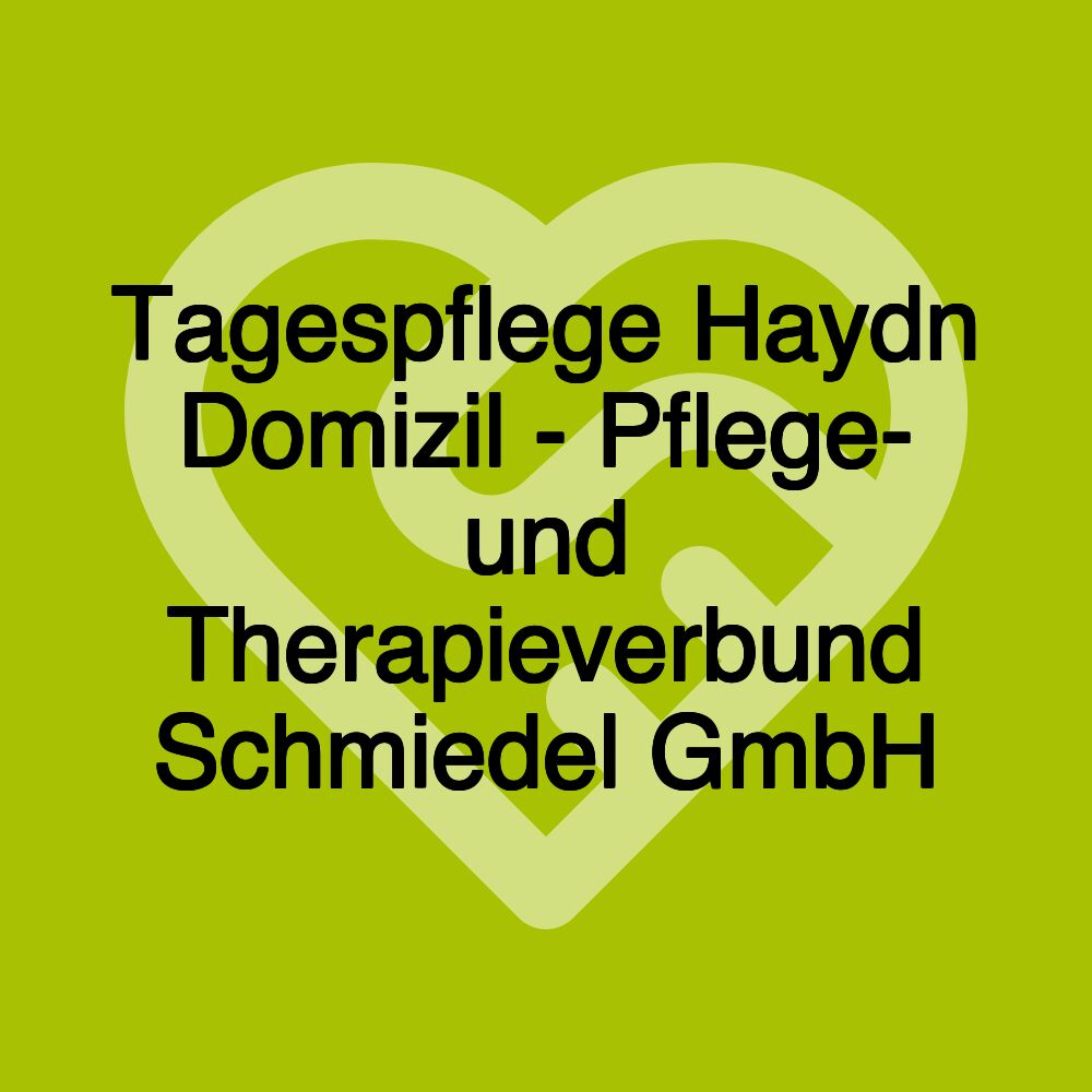 Tagespflege Haydn Domizil - Pflege- und Therapieverbund Schmiedel GmbH