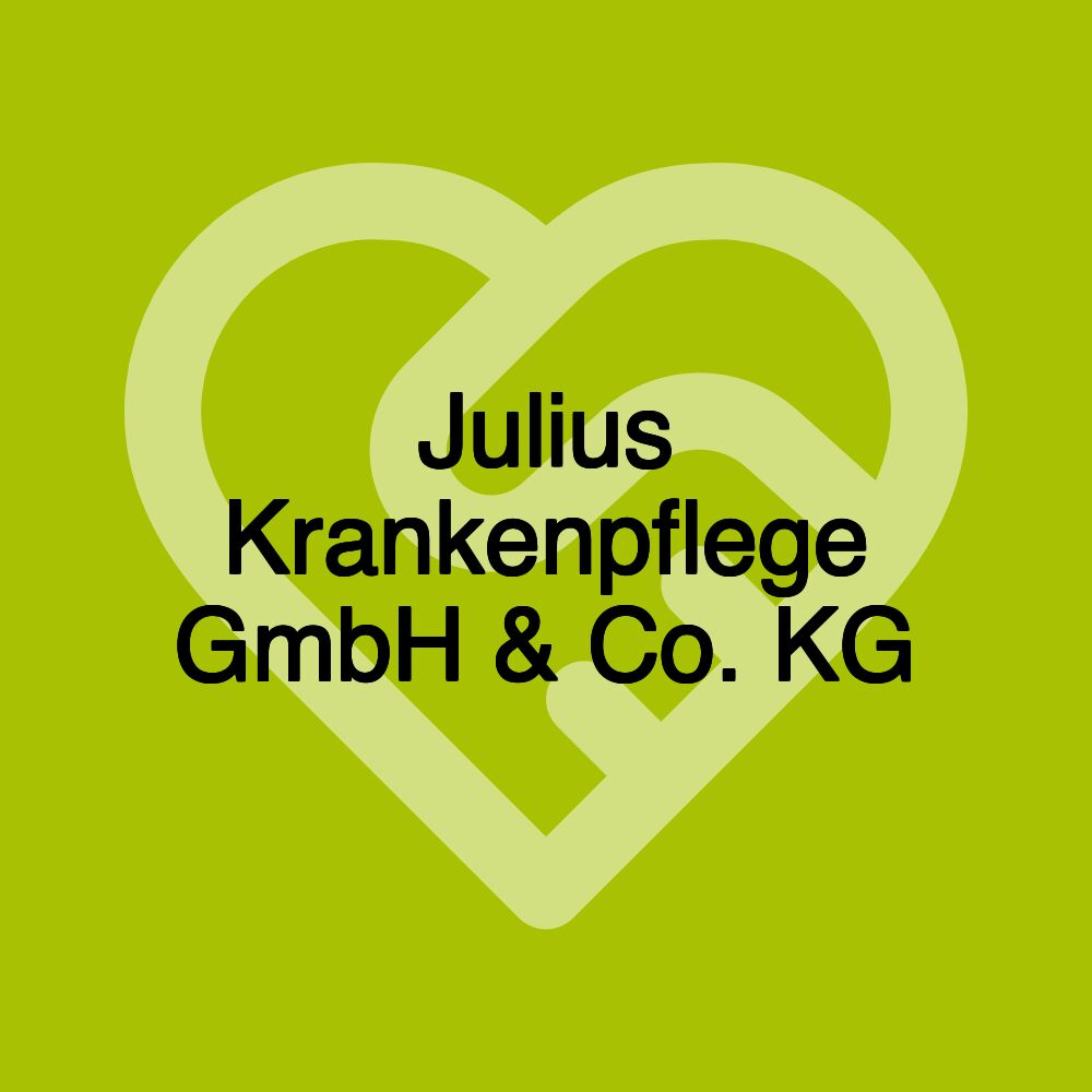 Julius Krankenpflege GmbH & Co. KG