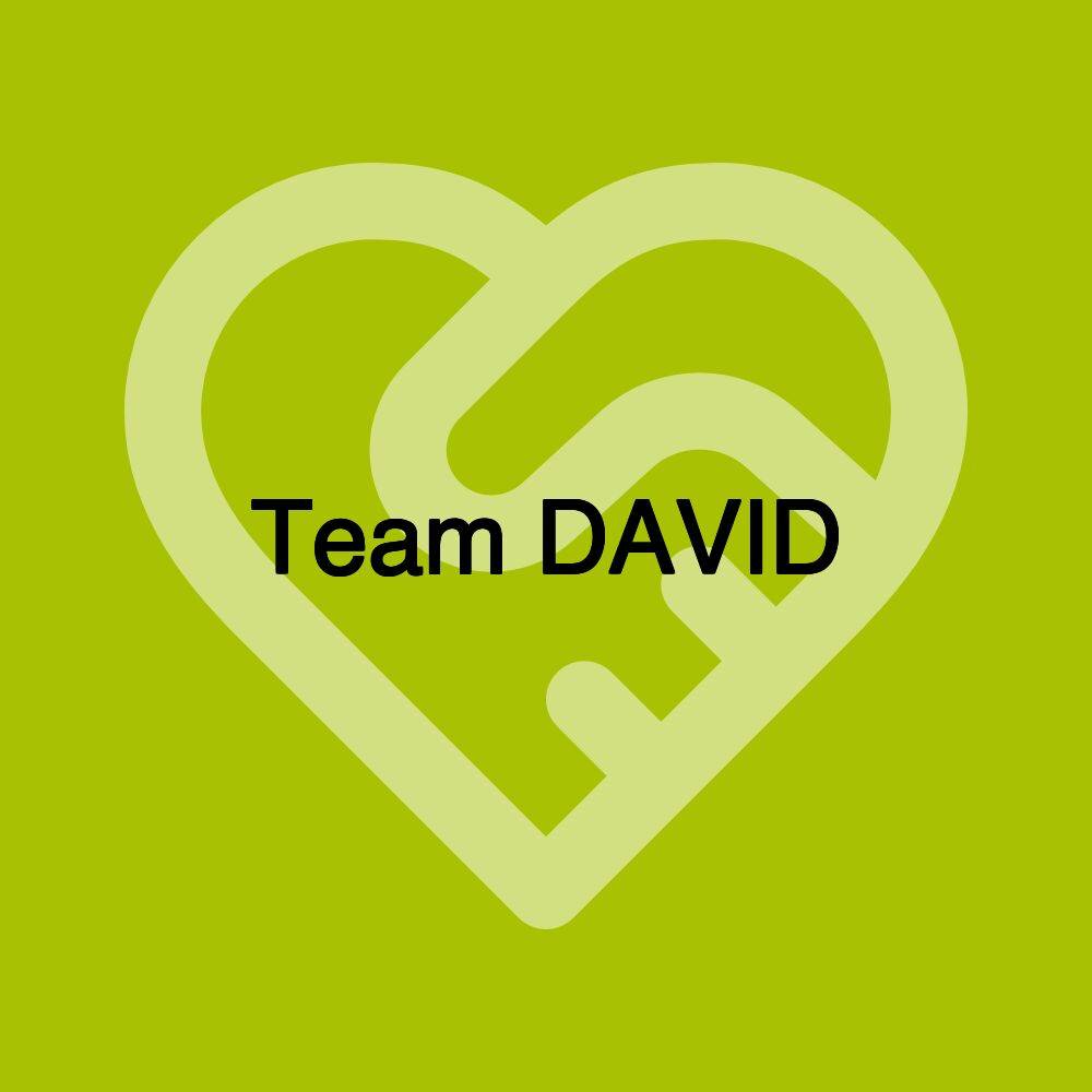 Team DAVID