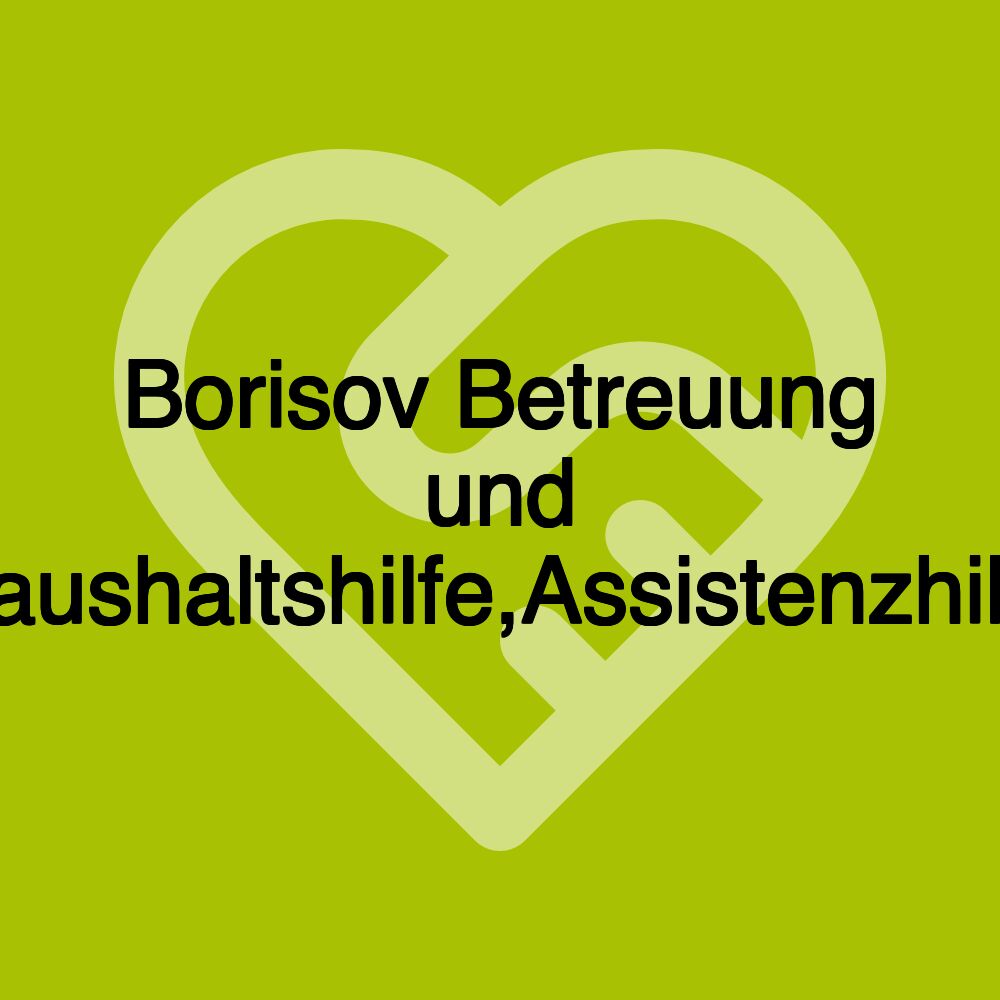 Borisov Betreuung und Haushaltshilfe,Assistenzhilfe