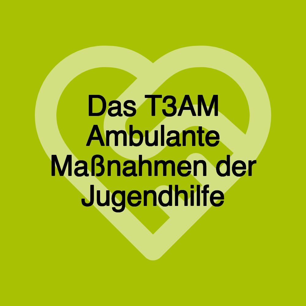 Das T3AM Ambulante Maßnahmen der Jugendhilfe