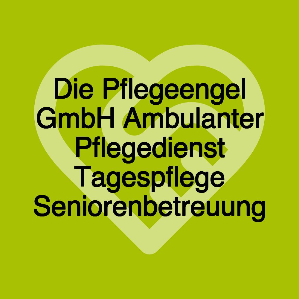 Die Pflegeengel GmbH Ambulanter Pflegedienst Tagespflege Seniorenbetreuung