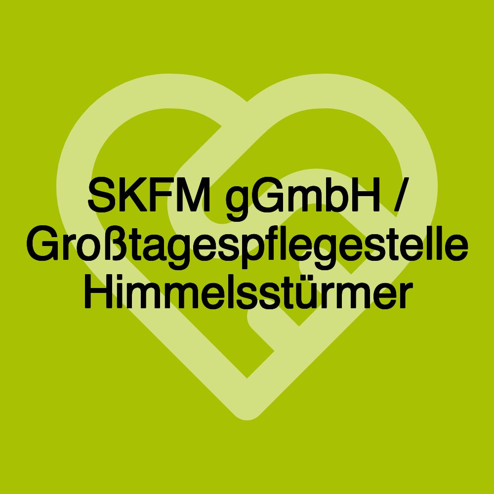 SKFM gGmbH / Großtagespflegestelle Himmelsstürmer