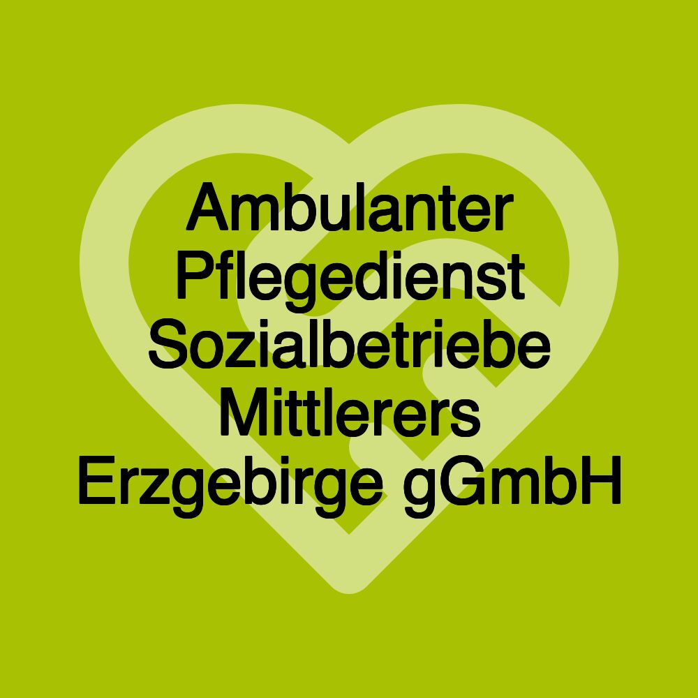 Ambulanter Pflegedienst Sozialbetriebe Mittlerers Erzgebirge gGmbH