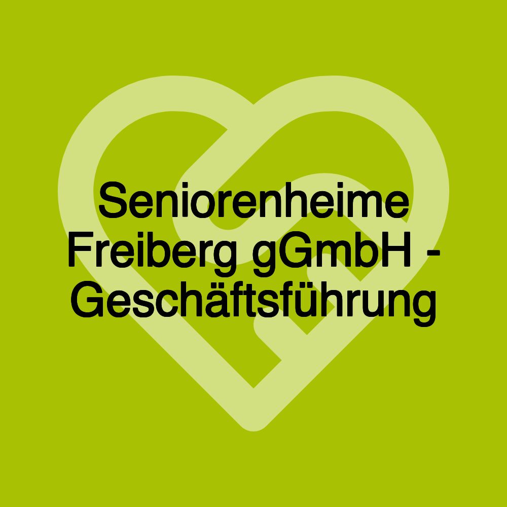 Seniorenheime Freiberg gGmbH - Geschäftsführung