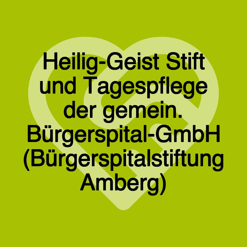 Heilig-Geist Stift und Tagespflege der gemein. Bürgerspital-GmbH (Bürgerspitalstiftung Amberg)