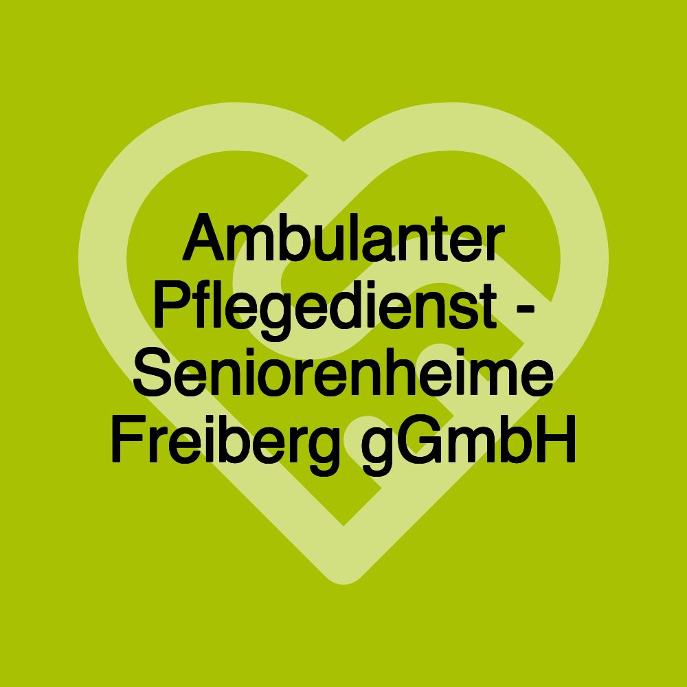 Ambulanter Pflegedienst - Seniorenheime Freiberg gGmbH