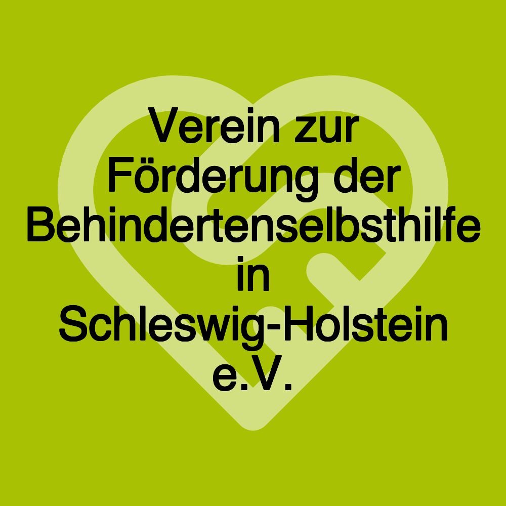 Verein zur Förderung der Behindertenselbsthilfe in Schleswig-Holstein e.V.