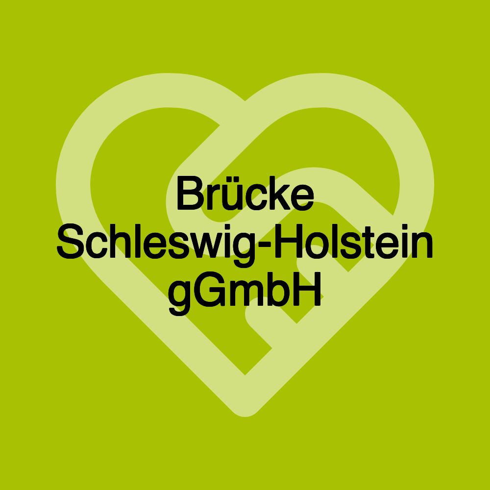 Brücke Schleswig-Holstein gGmbH